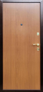 Стальная дверь Дверь для дачи №13 с отделкой Ламинат