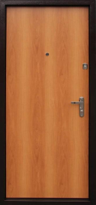 Стальная дверь Дверь с шумоизоляцией №2 с отделкой Ламинат