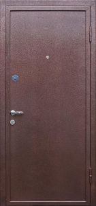 Стальная дверь Дверь для дачи №8 с отделкой Порошковое напыление