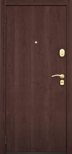 Стальная дверь Дверь для дачи №10 с отделкой Ламинат