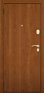 Стальная дверь Дверь для дачи №2 с отделкой Ламинат