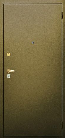 Входная дверь с зеркальной вставкой для прихожей №21