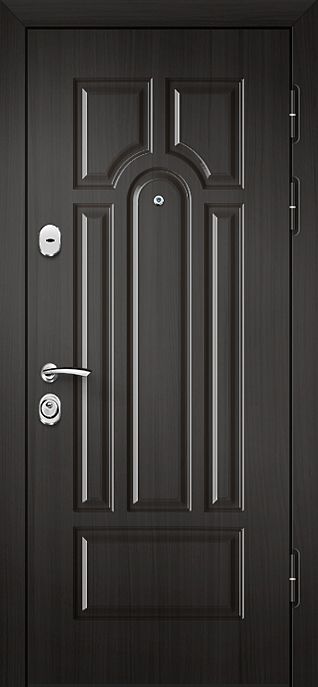 Стальная дверь темного цвета размера 2000x800 №9